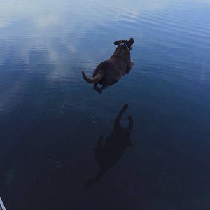 Meet your Posher, Jay